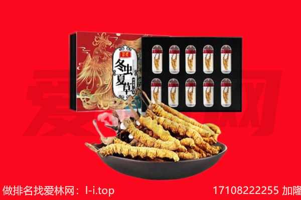 罗源县回收虫草.jpg